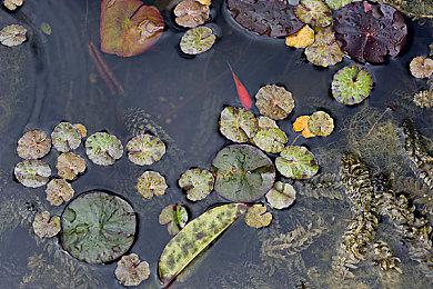 《燧石枪：黎明之围》近两周吸引超50万玩家体验